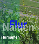 Flurnamen der alten Weinberge